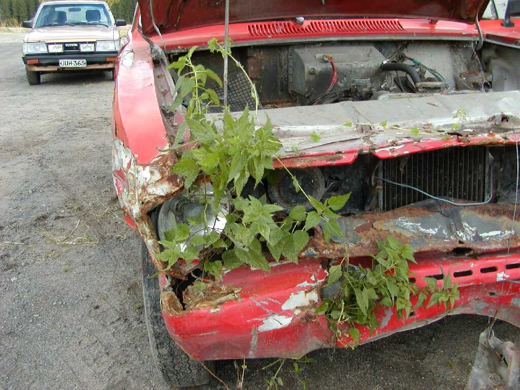 Pahnaralli 20020928  1 .jpg