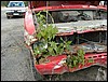Pahnaralli 20020928  1 .jpg