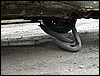 Pahnaralli 20020928  58 .jpg