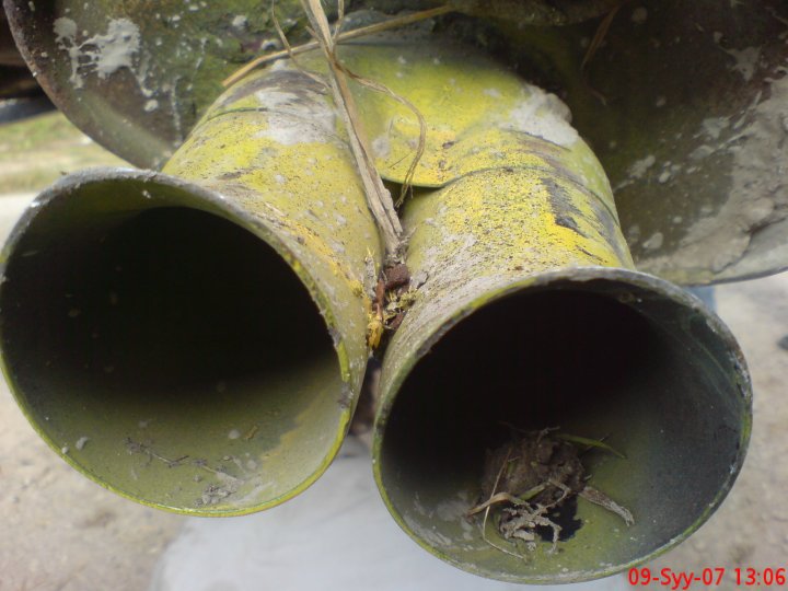 Original image