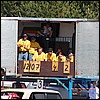P6053635.JPG