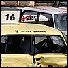 P6053637.JPG